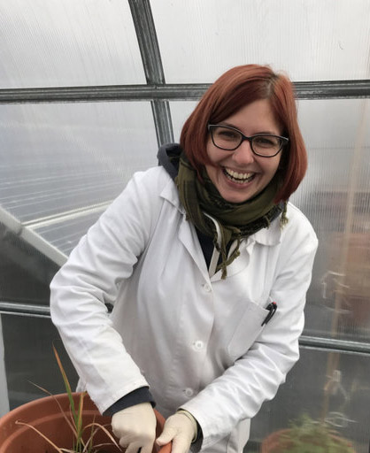 Ing. Diana Nebeská Ph.D. Ing. Diana Nebeská Ph.D.